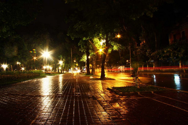 Hình ảnh con phố Hà Nội về đêm yên tĩnh 