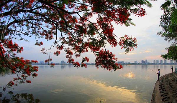 Một góc nhỏ thơ mộng tại Hồ Tây Hà Nội 