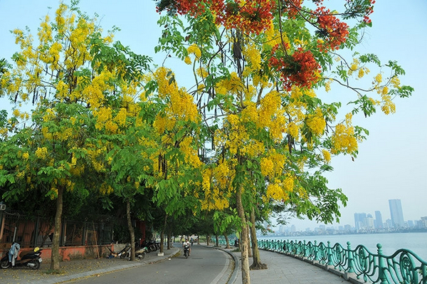 Hình ảnh hồ Tây Hà Nội vào mùa thu tuyệt đẹp 