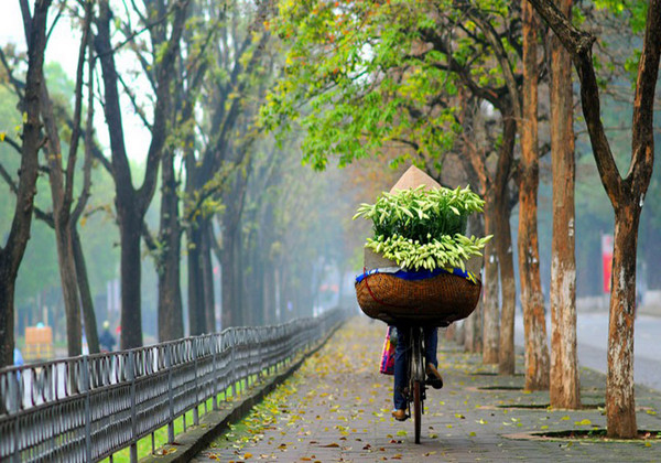 Gánh hoa ven đường Hà Nội 