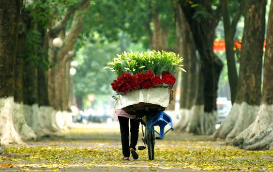 Xe hoa loa kèn trên con phố Hà Nội 