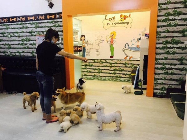 J&Pet là cửa hàng thú cưng Hà Nội nổi tiếng với giới trẻ