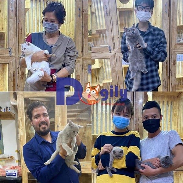 Dogily Petshop đã trở thành cửa hàng thú cưng Hà Nội quen thuộc và đáng tin cậy