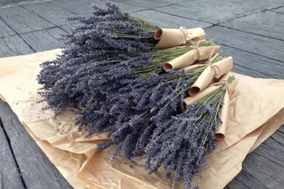 Shop Lavender địa điểm cung cấp hoa khô chất lượng với giá sỉ tốt nhất tại Hà Nội 