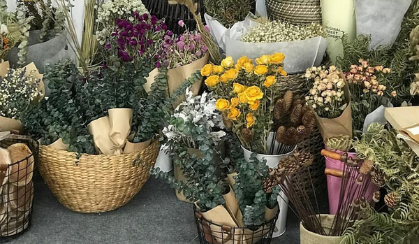 Cửa Hàng Wild Daisy – shop bán hoa khô Hà Nội  