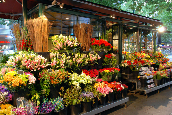 Shop Nancy tại Hà Nội là địa điểm dành riêng cho những người yêu thích hoa nhập khẩu