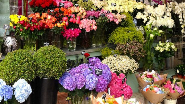 Những bông hoa tại Liti Florist đều được lựa chọn cẩn thận, nhập khẩu trực tiếp từ các cánh đồng hoa nổi tiếng trên khắp thế giới