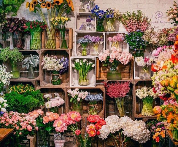 38 Degree Flower - top cửa hàng hoa nhập khẩu Hà Nội uy tín nhất 