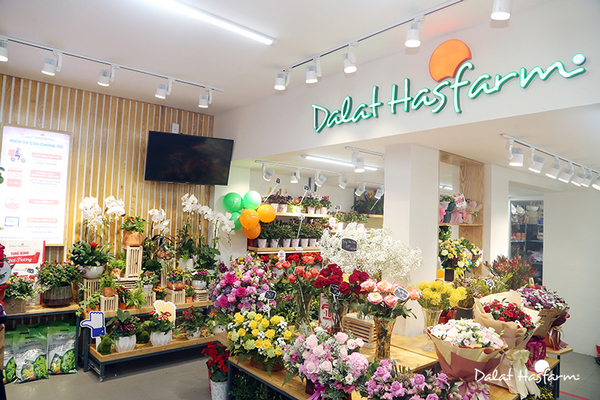 Đà Lạt Hasfarm, một thương hiệu hoa uy tín và lâu đời, đã khẳng định vị thế của mình trong lĩnh vực mua hoa 20 - 10 Hà Nội