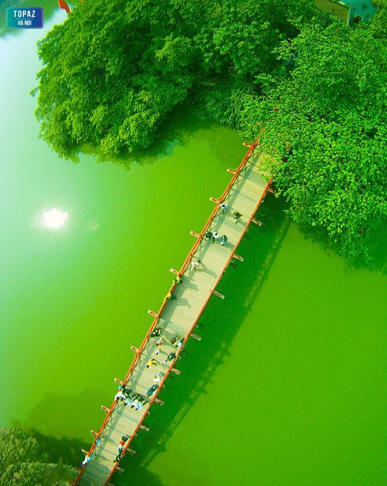 Toàn cảnh cây cầu Thê Húc nổi bật giữa hồ Hoàn Kiếm nối với đền Ngọc Sơn