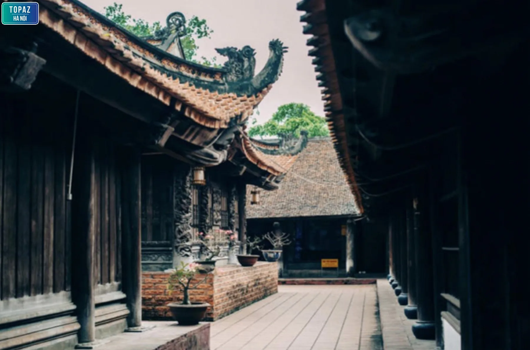 Lịch sử hình thành chùa Đậu 