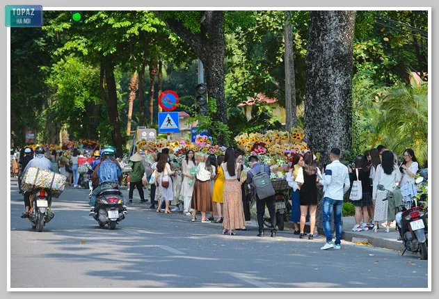Đường Hoàng Diệu với những gánh hàng hoa là địa điểm sống ảo gần đây của giới trẻ Hà Nội 