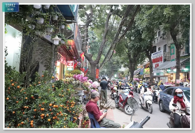Đường Hoàng Hoa Thám được gọi là Phố cây cảnh ở Hà Nội 