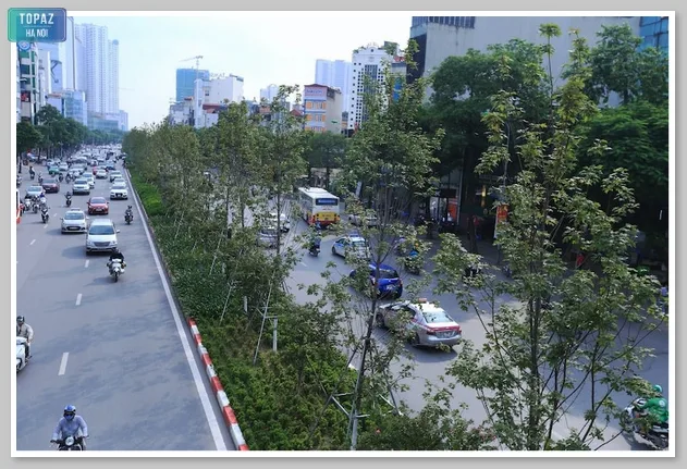 Hình ảnh hai bên đường Trần Duy Hưng là những hàng cây xanh mướt 