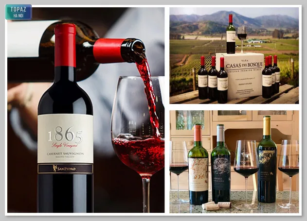 Chile là một trong những nước sản xuất rượu vang hàng đầu thế giới 