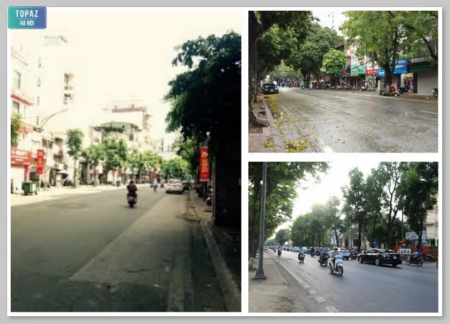 Hai bên đường phố Huế là những hàng cây xanh mất tô điểm cho khung cảnh thành phố 