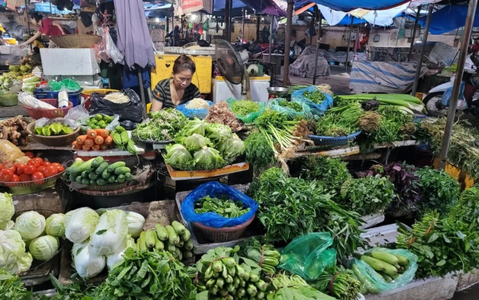 Với sự đa dạng về mặt hàng và không khí sôi động, chợ đã và đang thu hút đông đảo người mua lẫn các thương lái