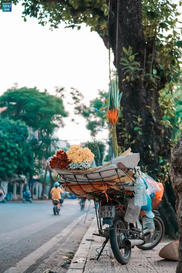 Tiềm Năng Phát Triển Và Bảo Vệ Môi Trường Tại Hồ Trúc Bạch