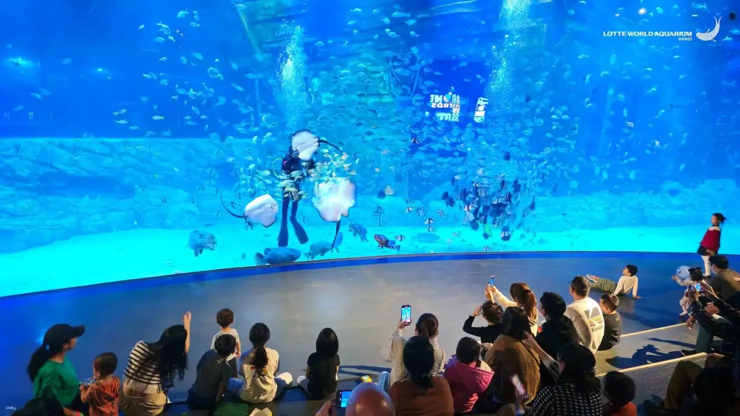 lotte-world-aquarium-ha-noi