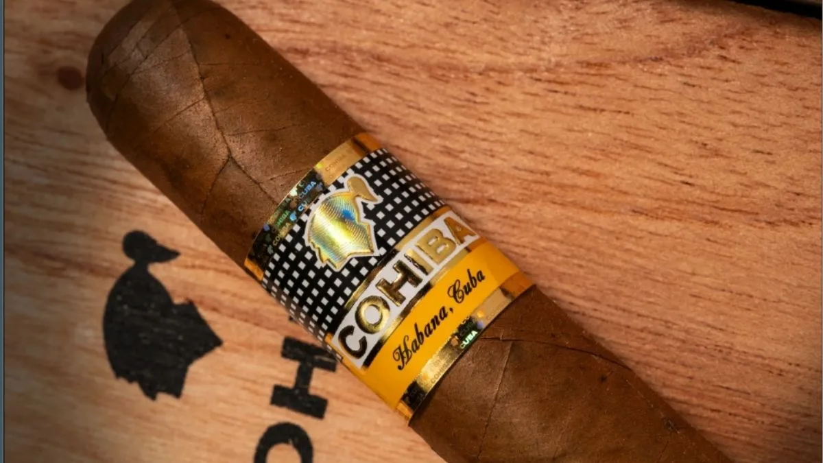 siglo-6-1