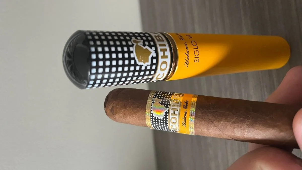 Siglo 6