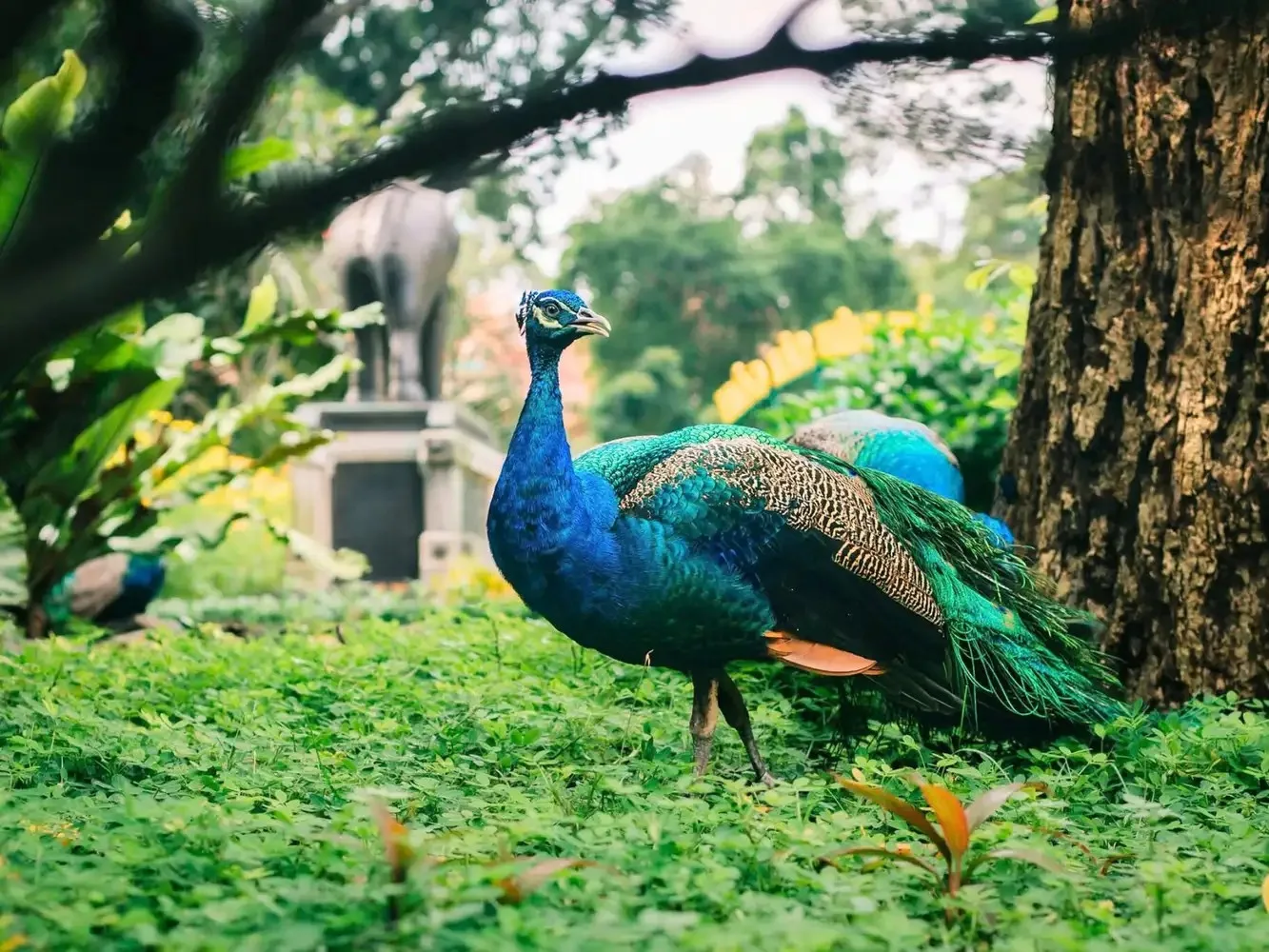 Thảo Cầm Viên Sài Gòn